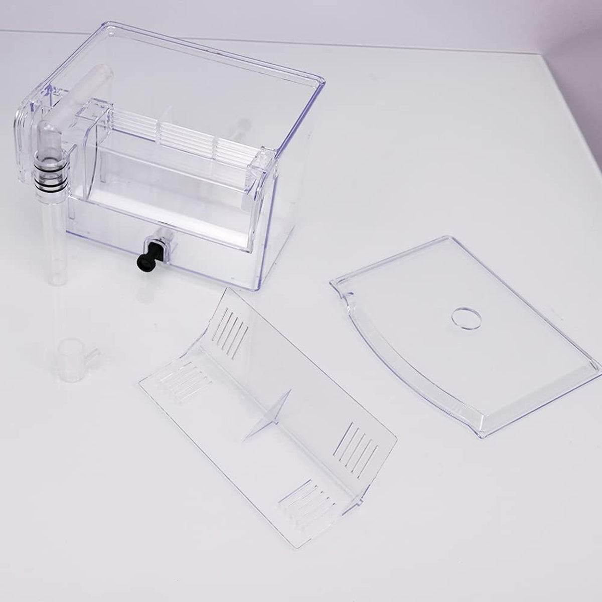 Acrylic Fish Breeding Isolation Box for Guppies and Small Fish