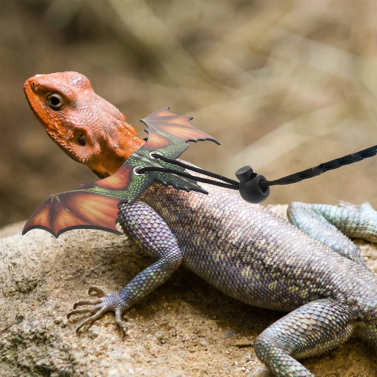 Adjustable Dragon Wing Lizard Leash Reptile Harness Set