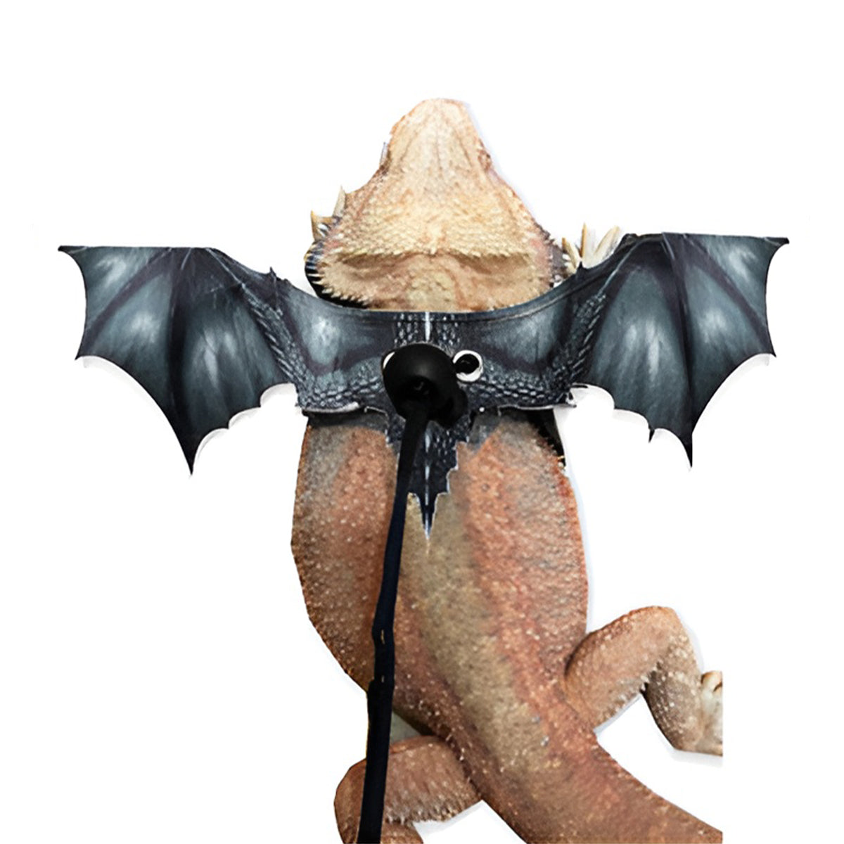Adjustable Dragon Wing Lizard Leash Reptile Harness Set