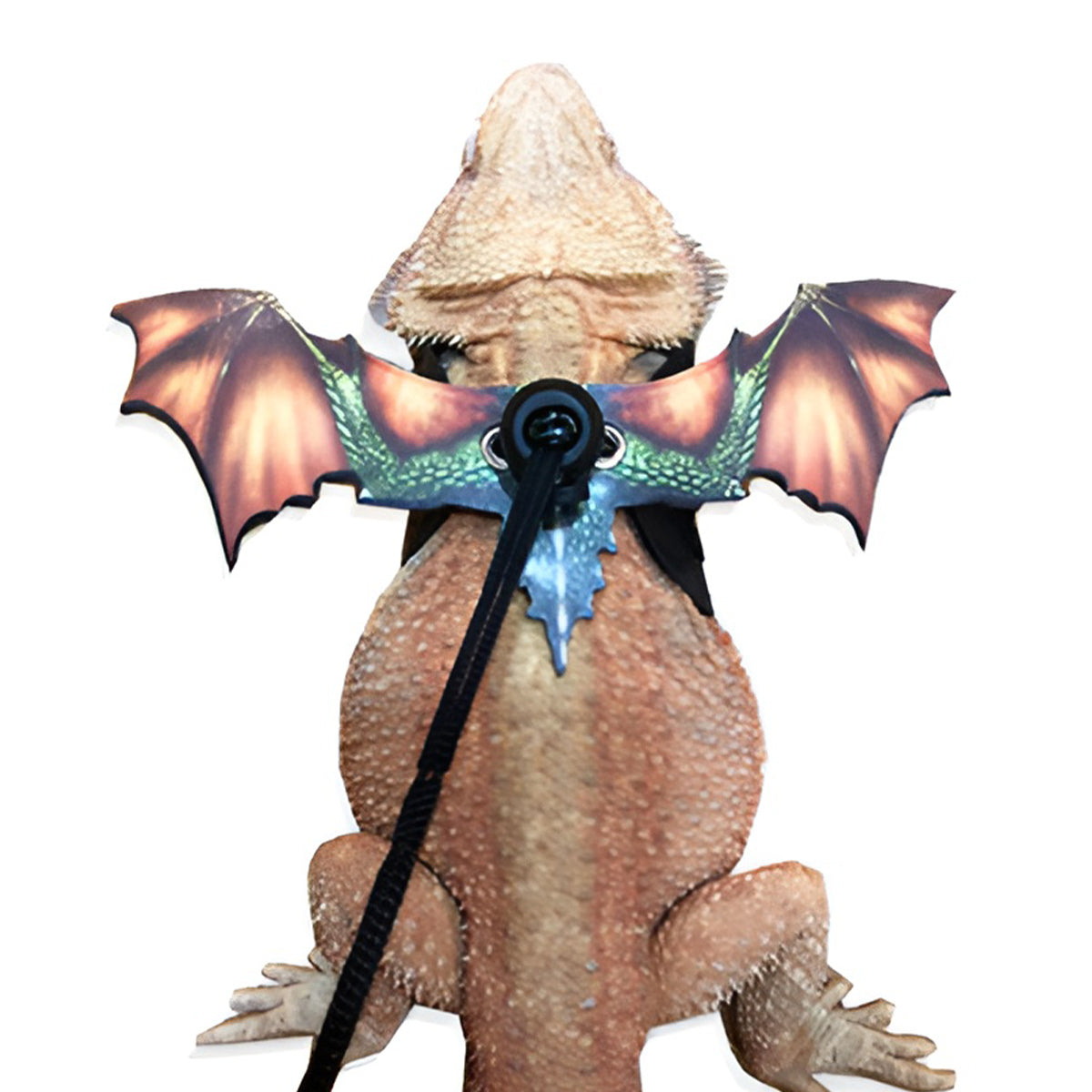 Adjustable Dragon Wing Lizard Leash Reptile Harness Set