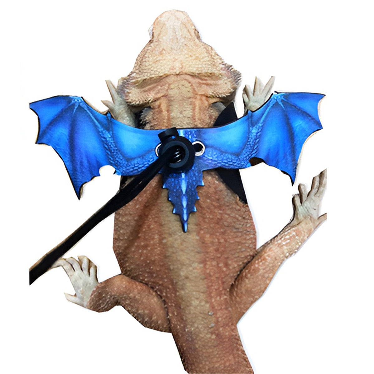 Adjustable Dragon Wing Lizard Leash Reptile Harness Set