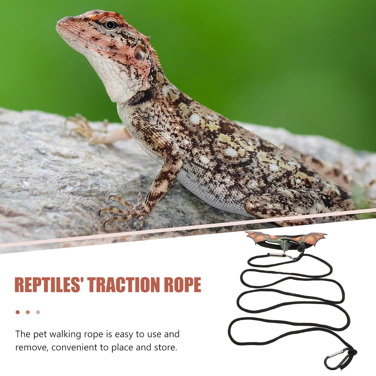 Adjustable Dragon Wing Lizard Leash Reptile Harness Set