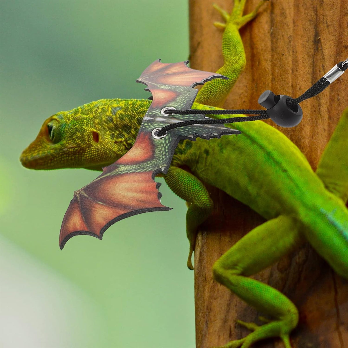 Adjustable Dragon Wing Lizard Leash Reptile Harness Set