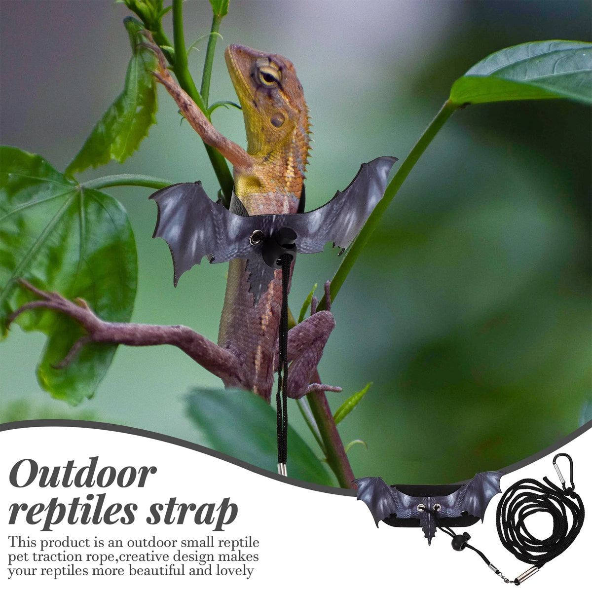 Adjustable Dragon Wing Lizard Leash Reptile Harness Set