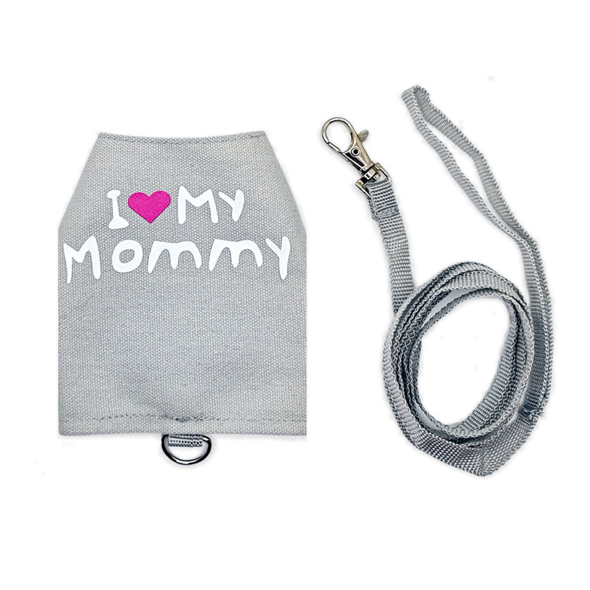 Lizard Harness And Leash Set With Luminous Print For Reptiles