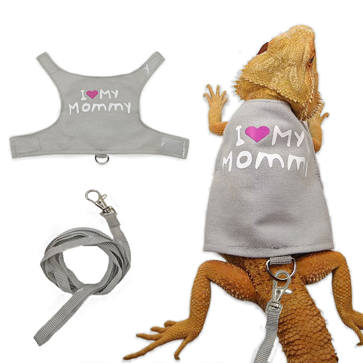 Lizard Harness And Leash Set With Luminous Print For Reptiles
