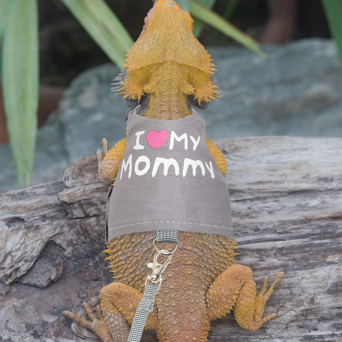 Lizard Harness And Leash Set With Luminous Print For Reptiles