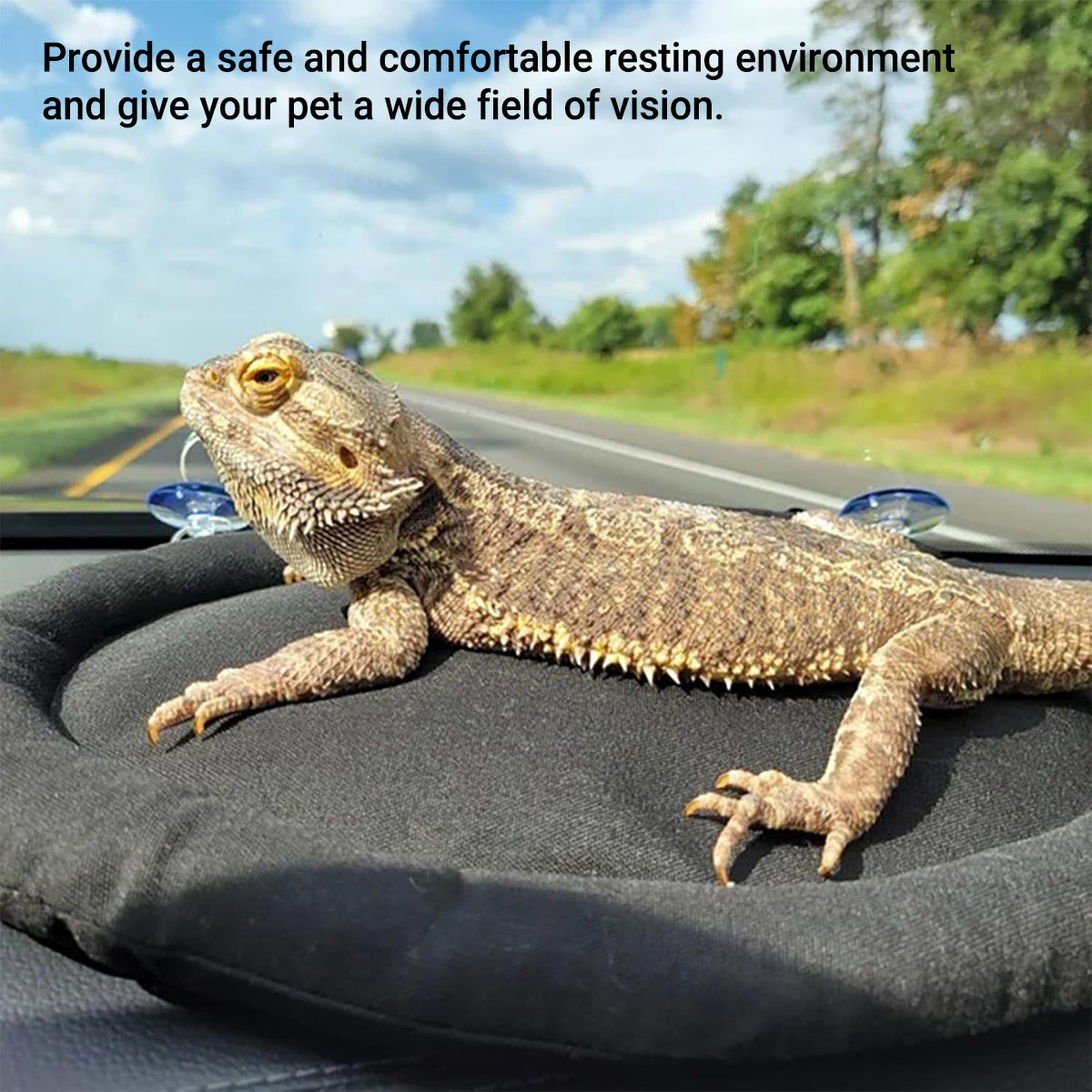 Canvas Pet Sleeping Mat Hammock With Suction Cups For Small Animals