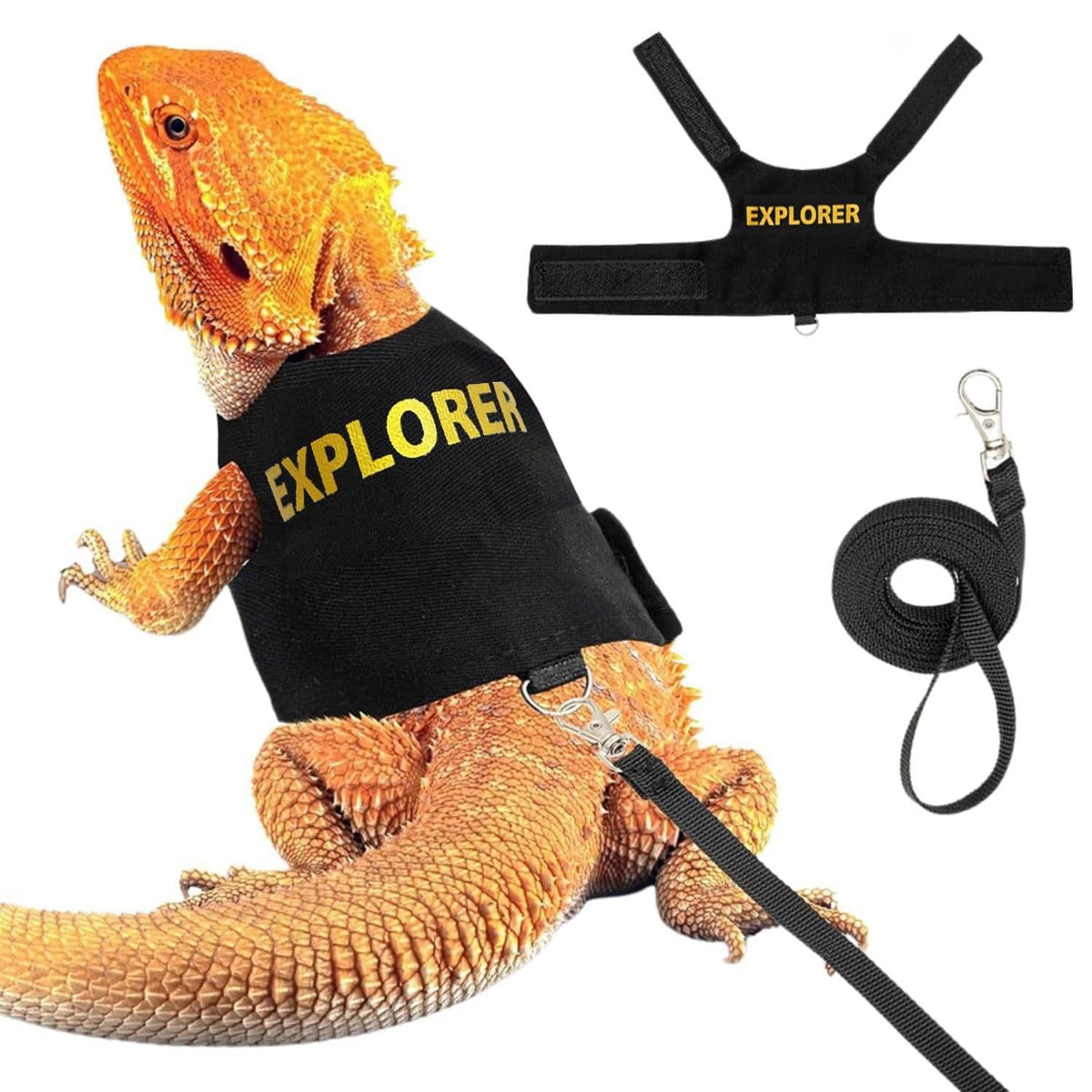 Adjustable Reptile Harness Leash Lizard Walking Vest with Lead