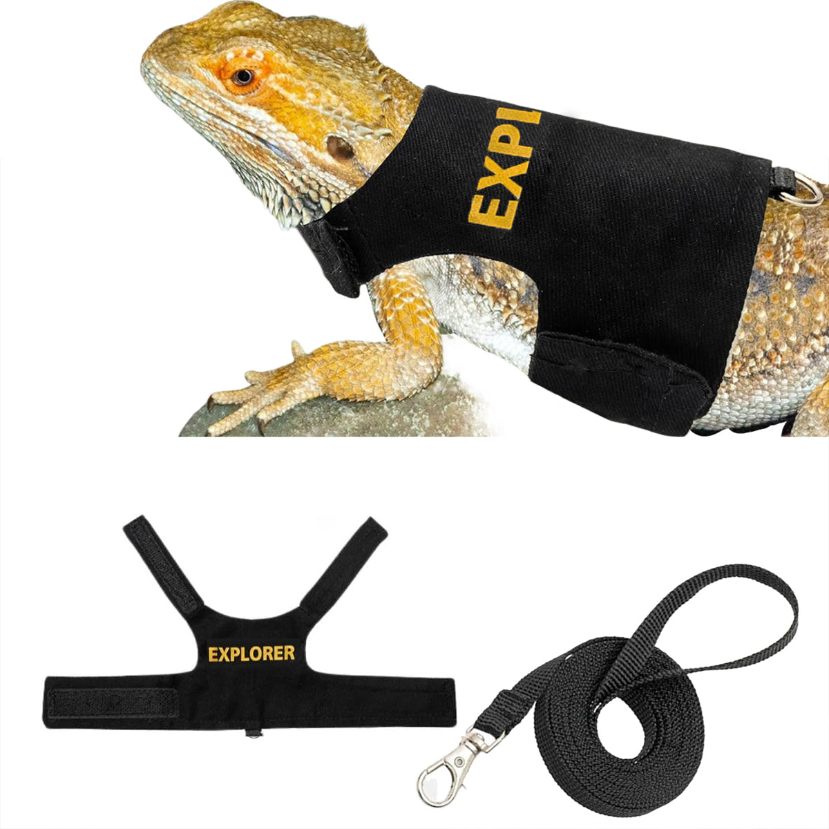 Adjustable Reptile Harness Leash Lizard Walking Vest with Lead