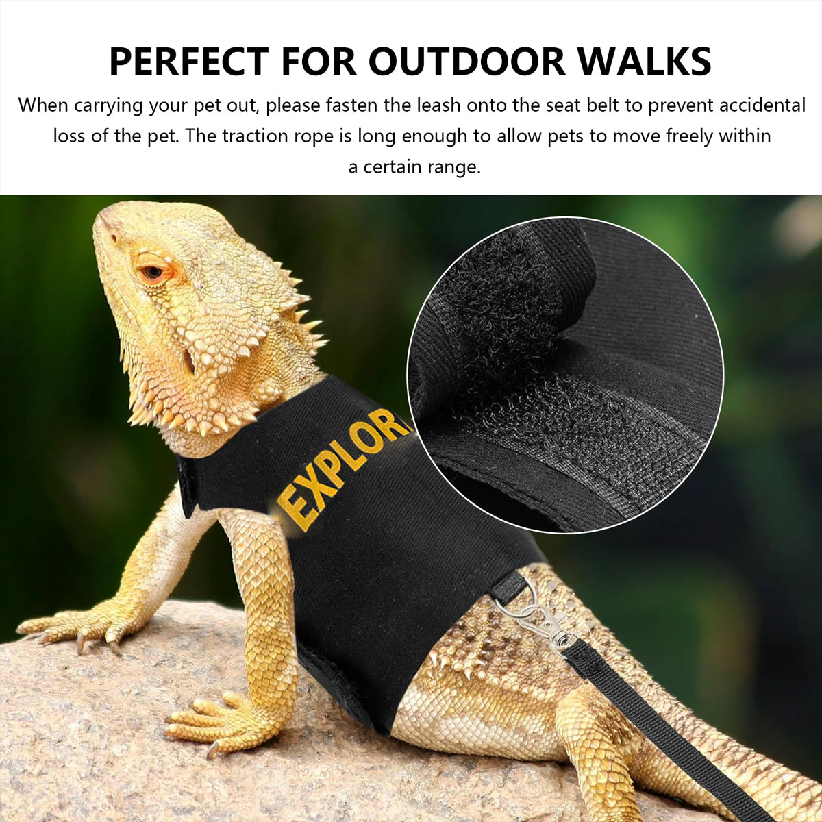 Adjustable Reptile Harness Leash Lizard Walking Vest with Lead