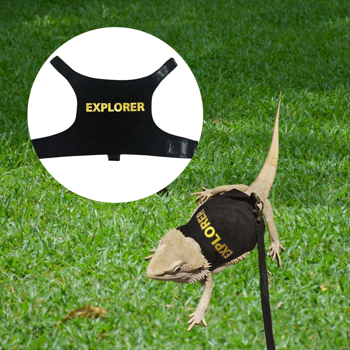 Adjustable Reptile Harness Leash Lizard Walking Vest with Lead