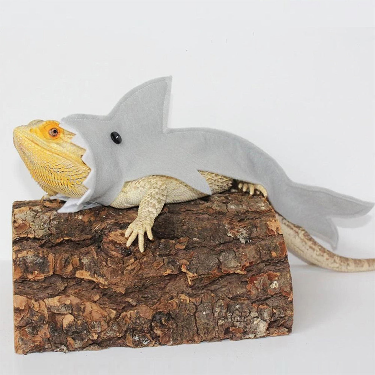 Shark Costume For Small Pets