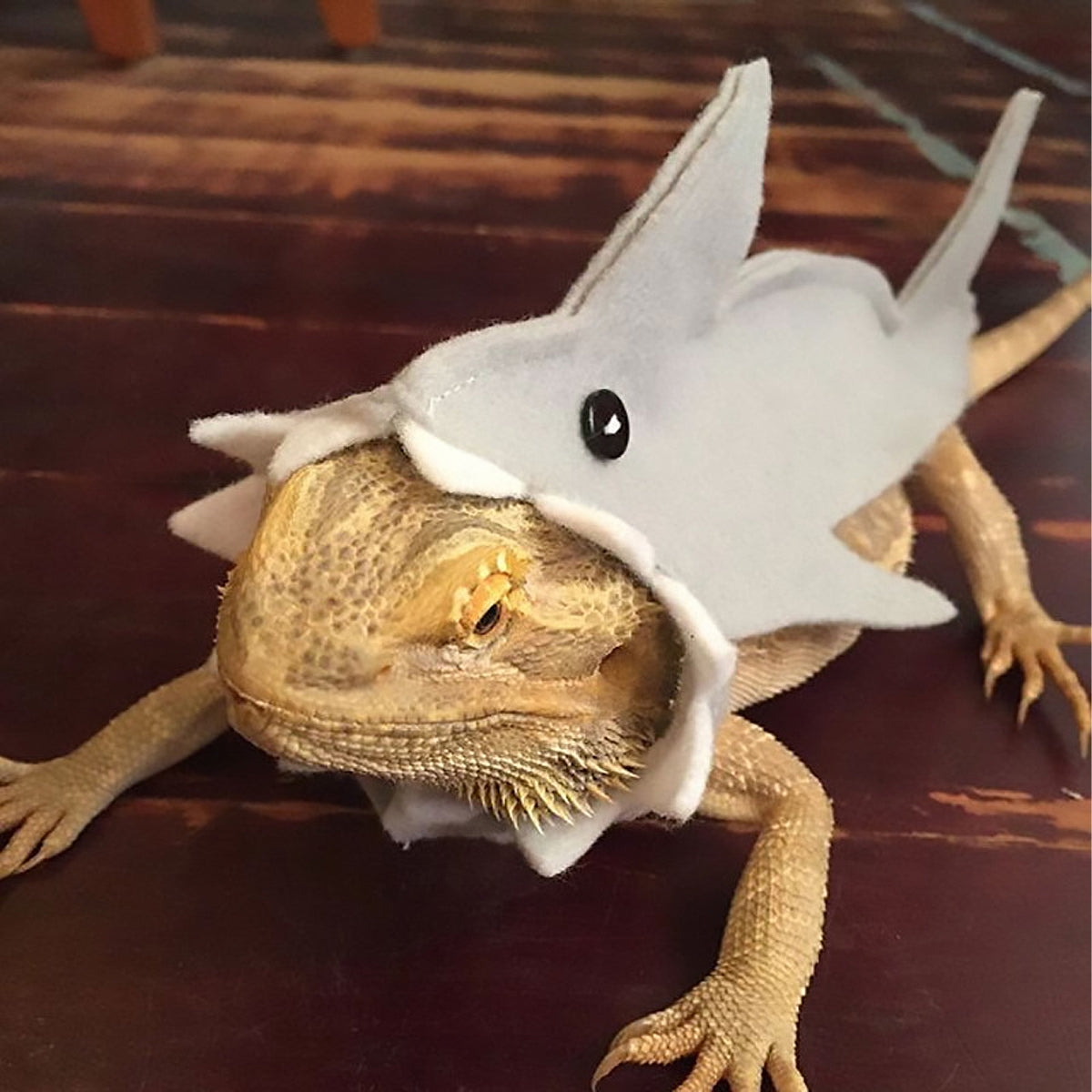 Shark Costume For Small Pets