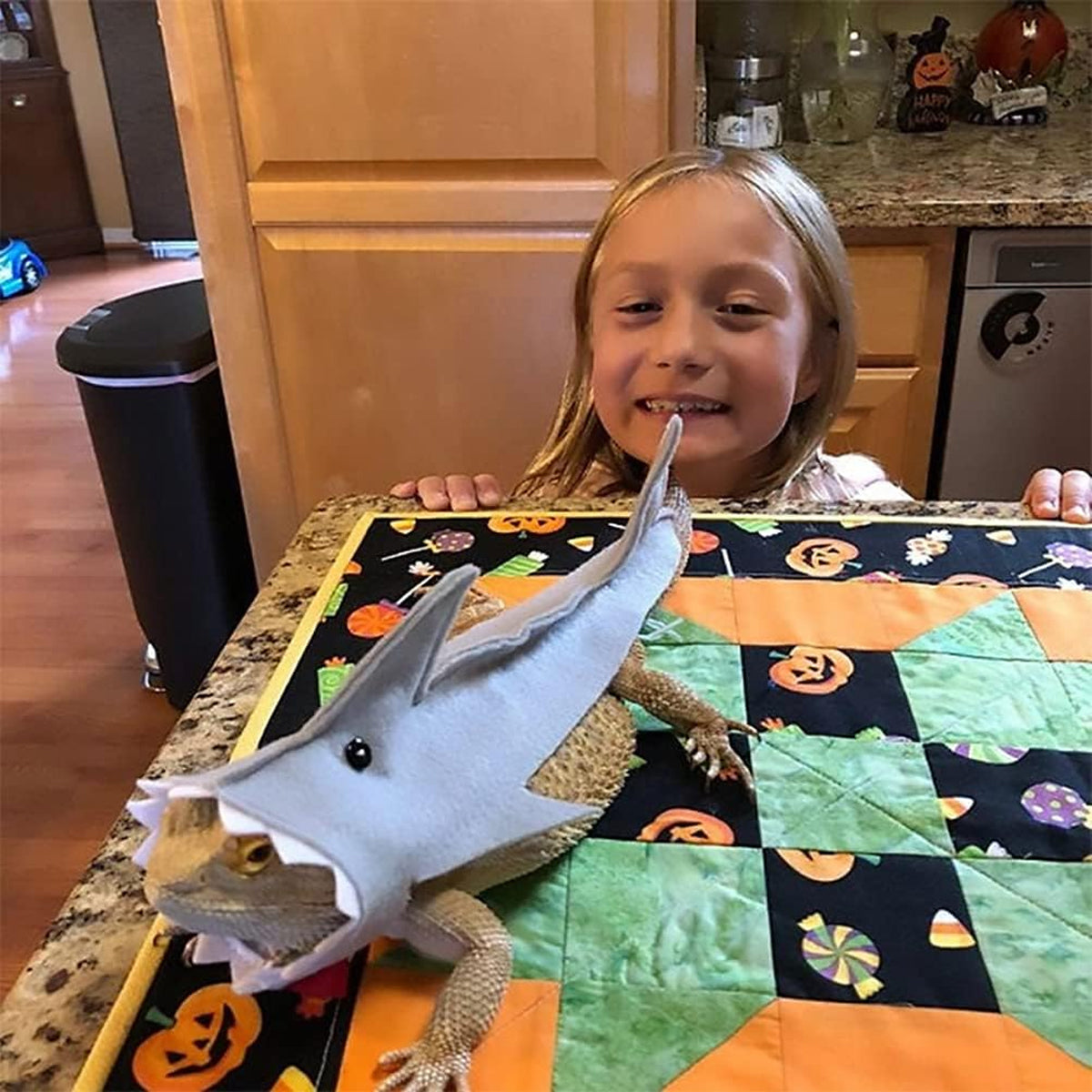 Shark Costume For Small Pets