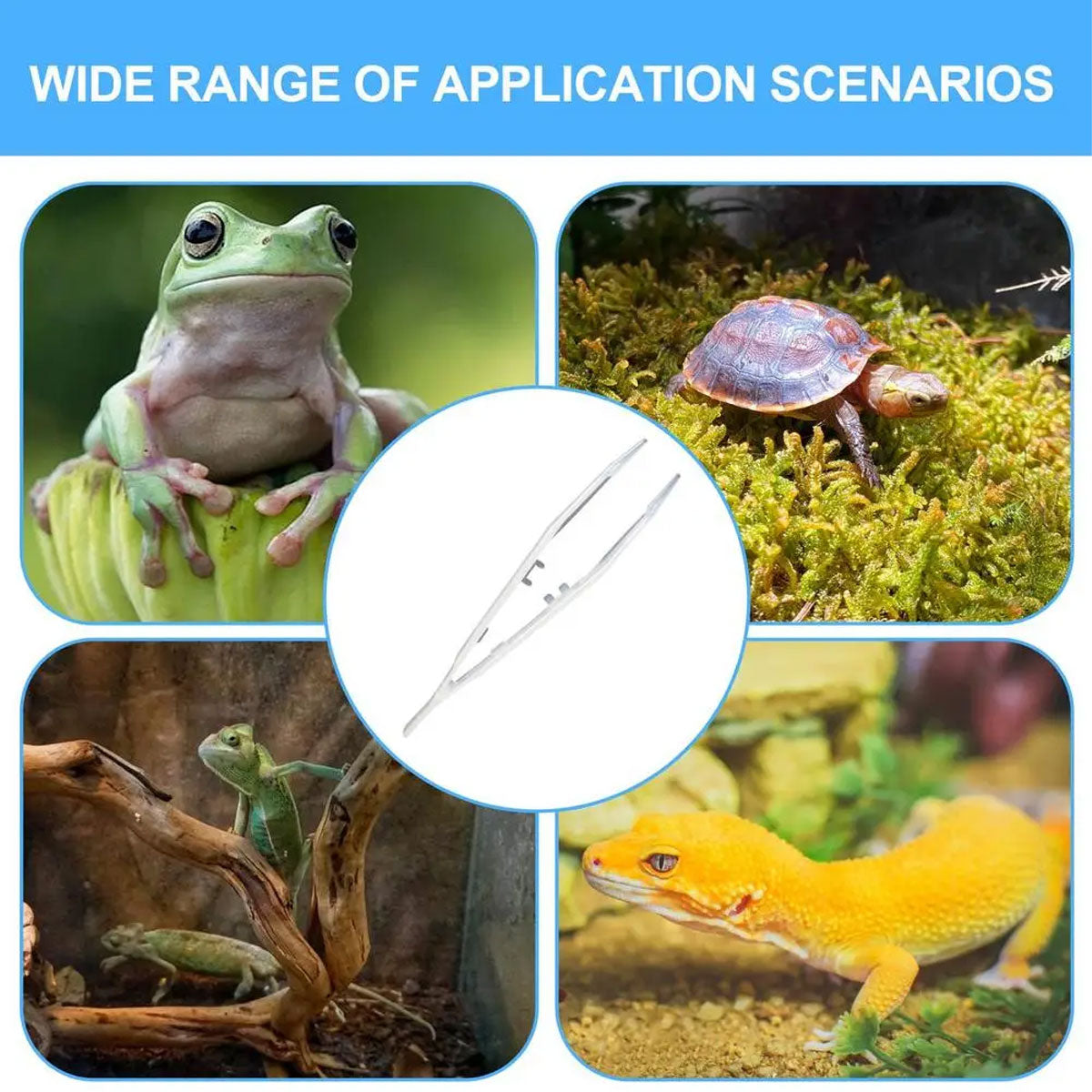 Luminous Reptile Feeding Tweezers Glow-in-the-Dark Tool 18cm