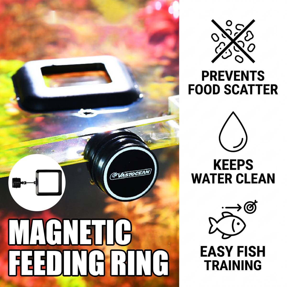 Magnetic aquarium feeding ring for fish food – product view 2