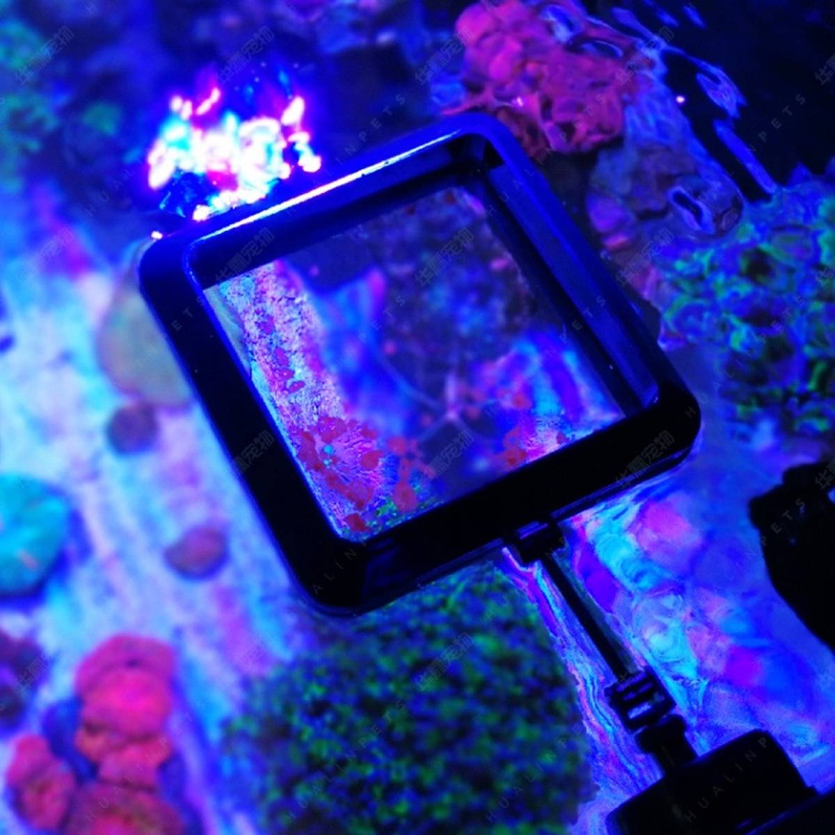 Magnetic aquarium feeding ring for fish food – product view 5