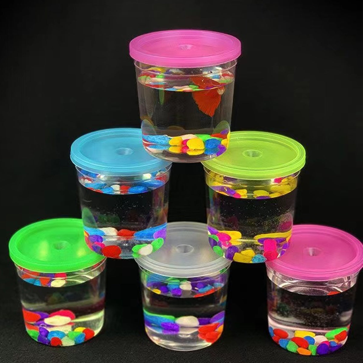 20PCS Mini Fish Cups with Lids Portable Clear Containers