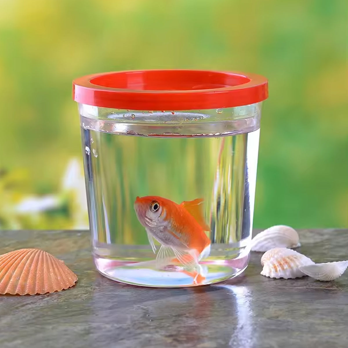 20PCS Mini Fish Cups with Lids Portable Clear Containers