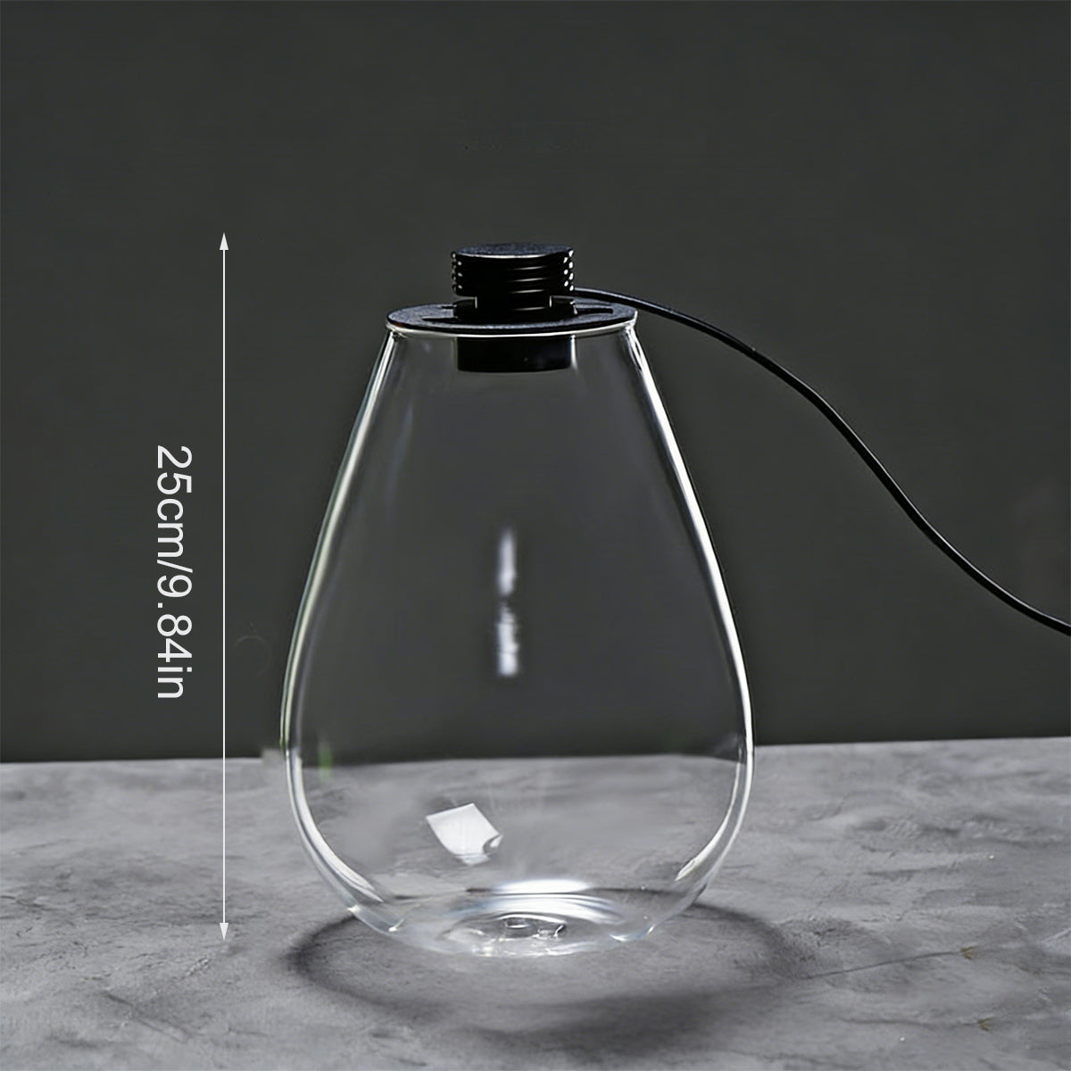 LED Glass Terrarium Bottle Mini Ecosystem Lamp