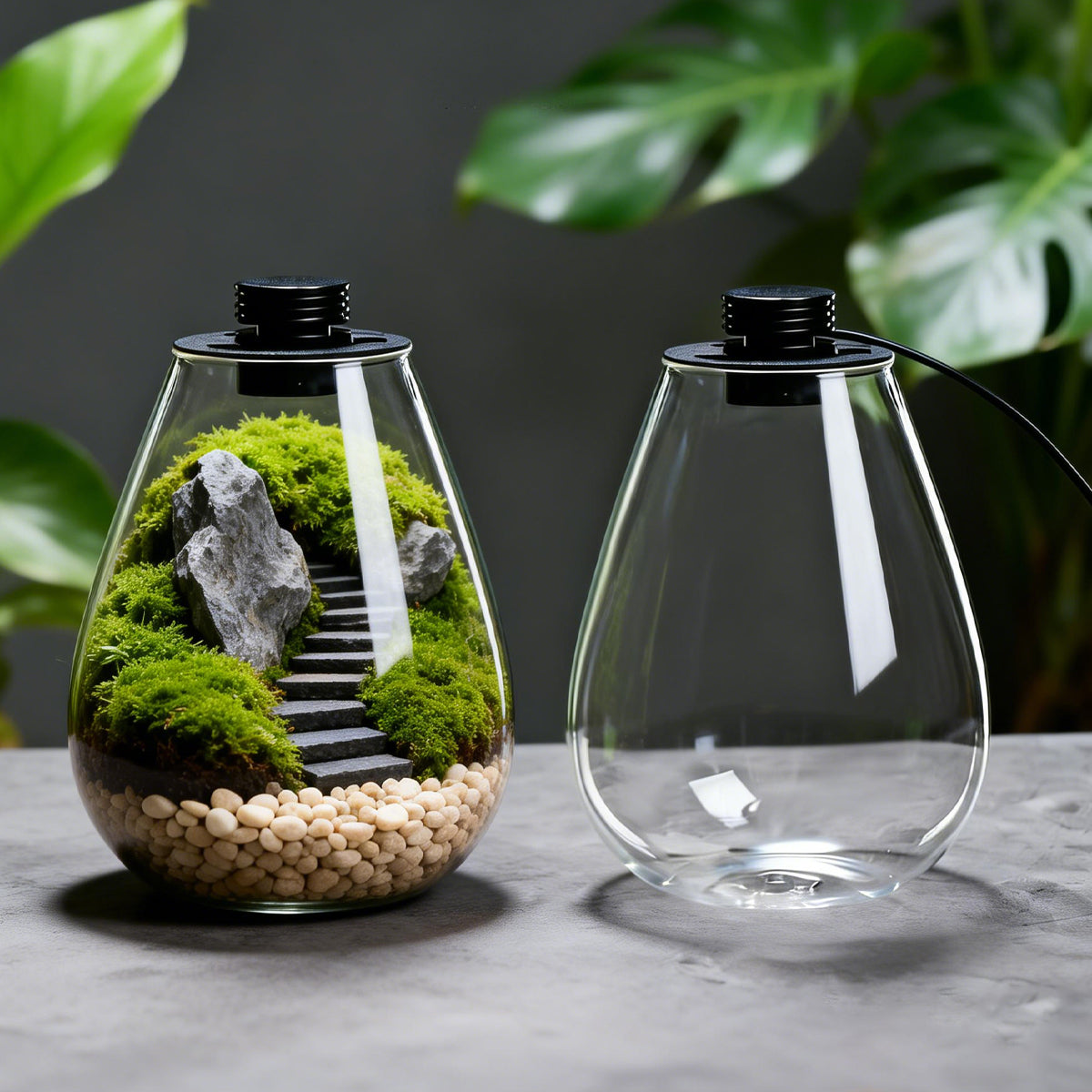 LED Glass Terrarium Bottle Mini Ecosystem Lamp