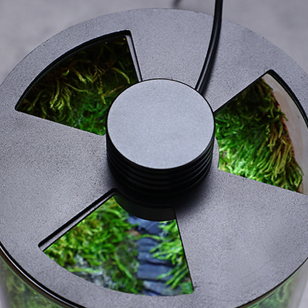 LED Glass Terrarium Bottle Mini Ecosystem Lamp
