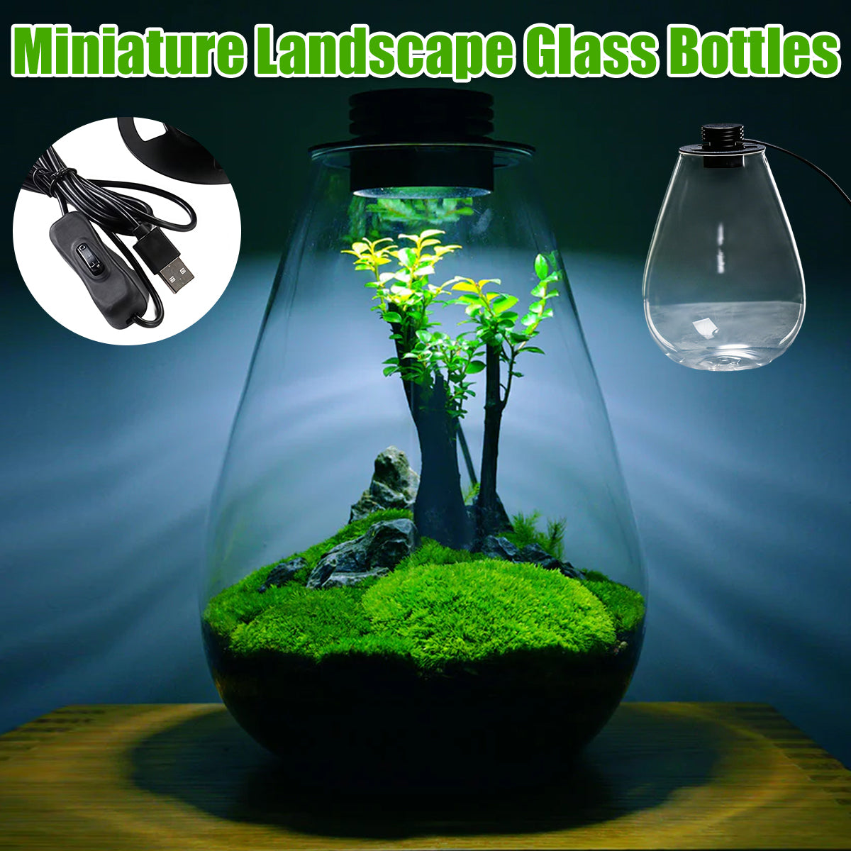 LED Glass Terrarium Bottle Mini Ecosystem Lamp