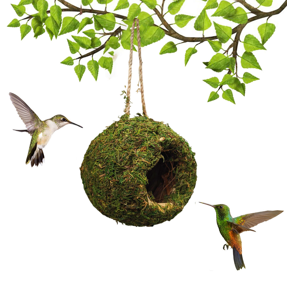 Handmade Moss Corner Hideout For Reptiles And Amphibians