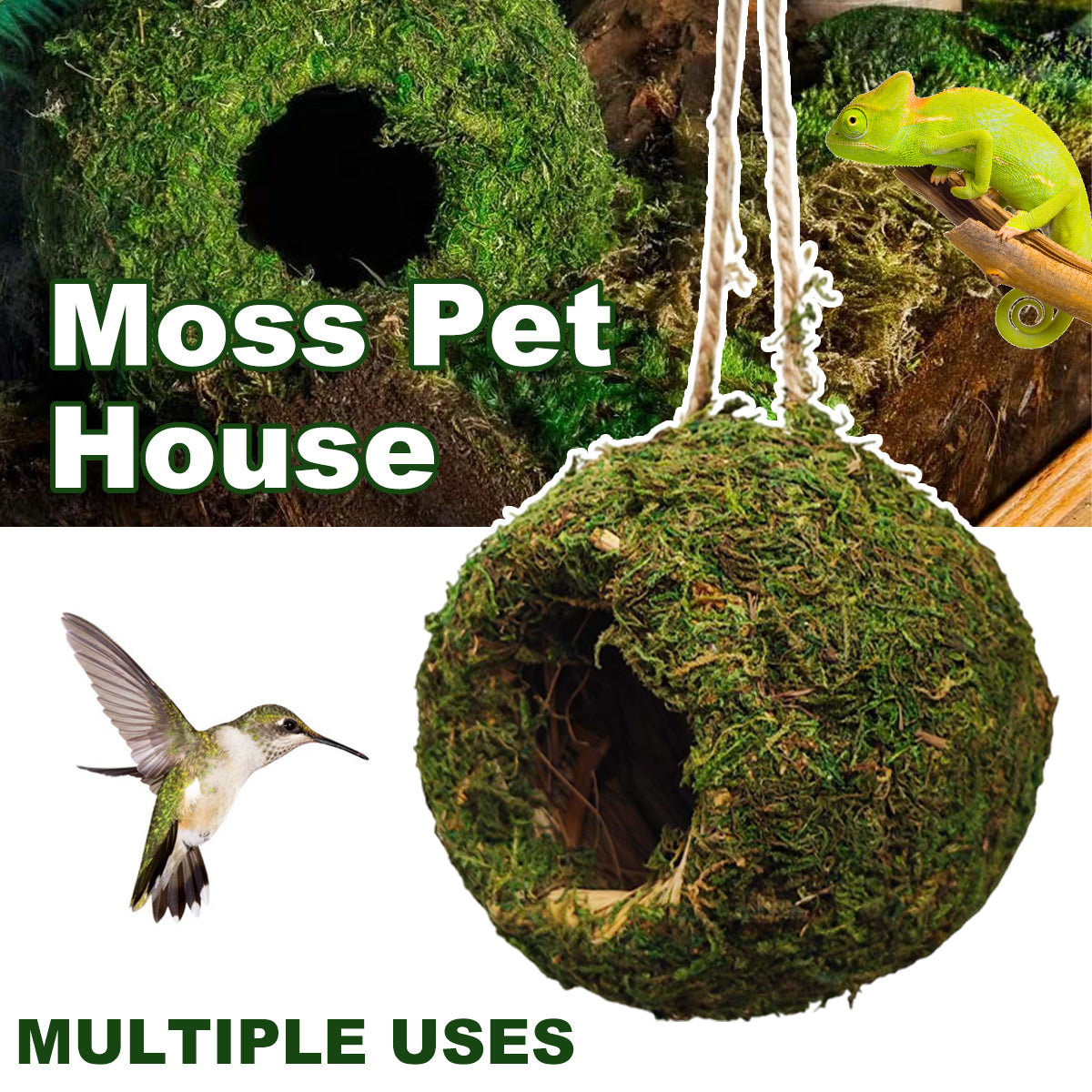 Handmade Moss Corner Hideout For Reptiles And Amphibians