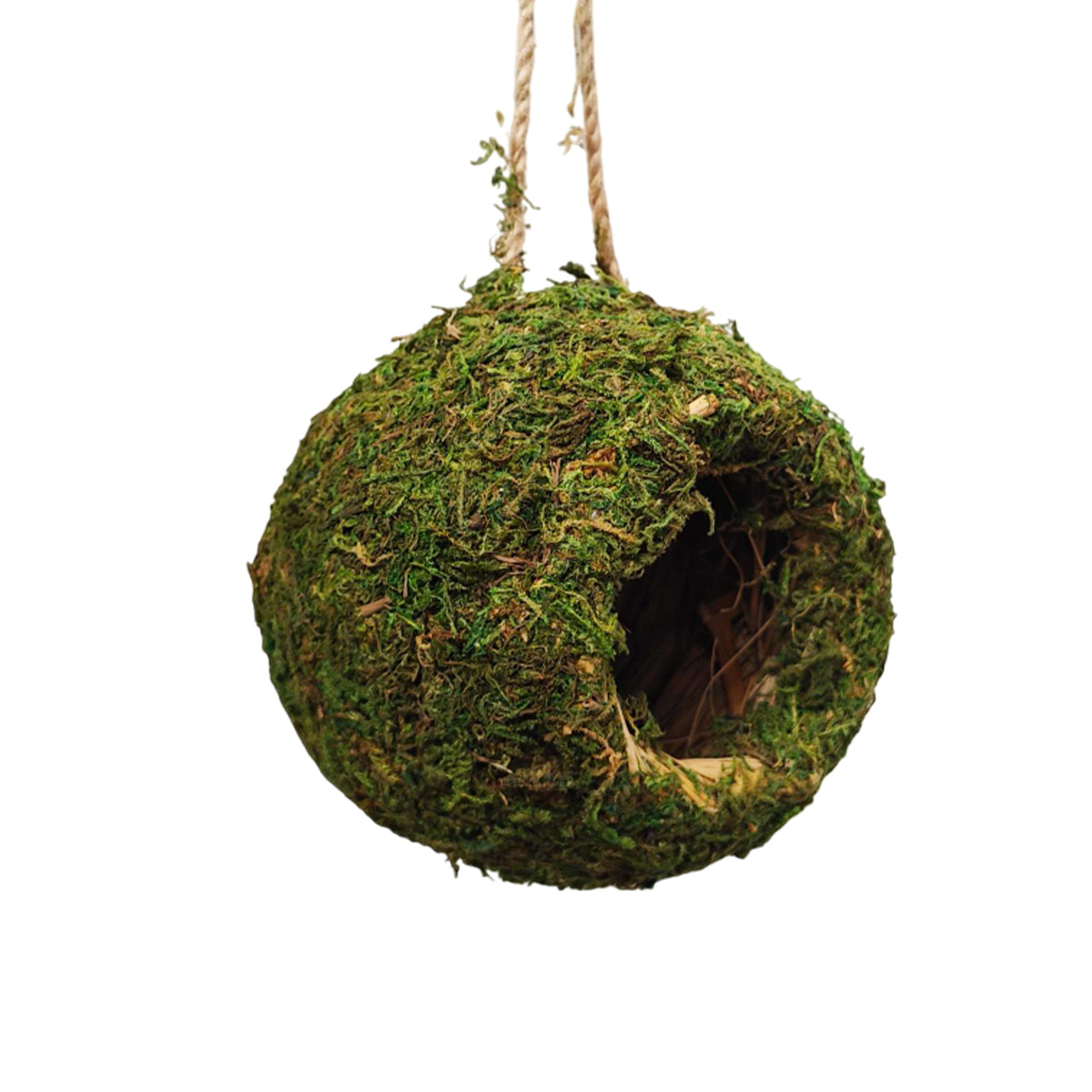 Handmade Moss Corner Hideout For Reptiles And Amphibians