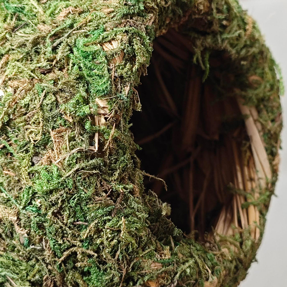 Handmade Moss Corner Hideout For Reptiles And Amphibians