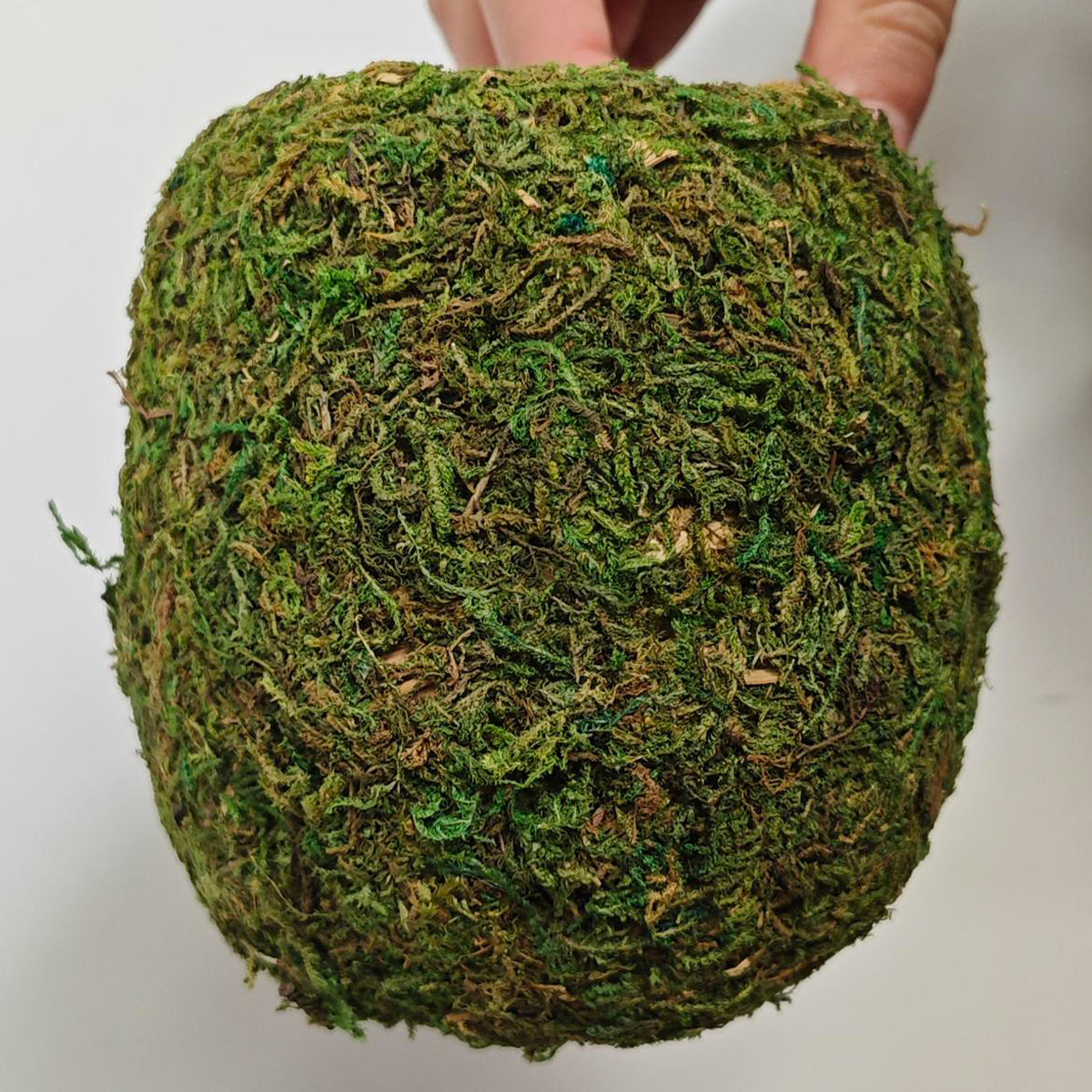 Handmade Moss Corner Hideout For Reptiles And Amphibians