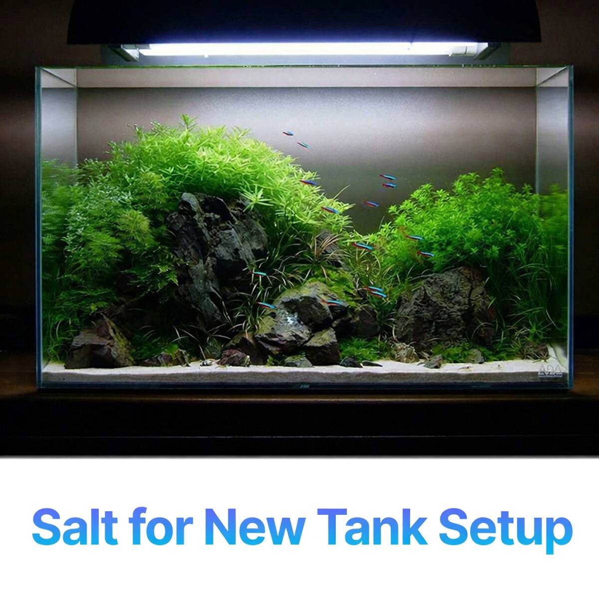 Aquarium fish salt 2-pack stress relief tonic – product view 12