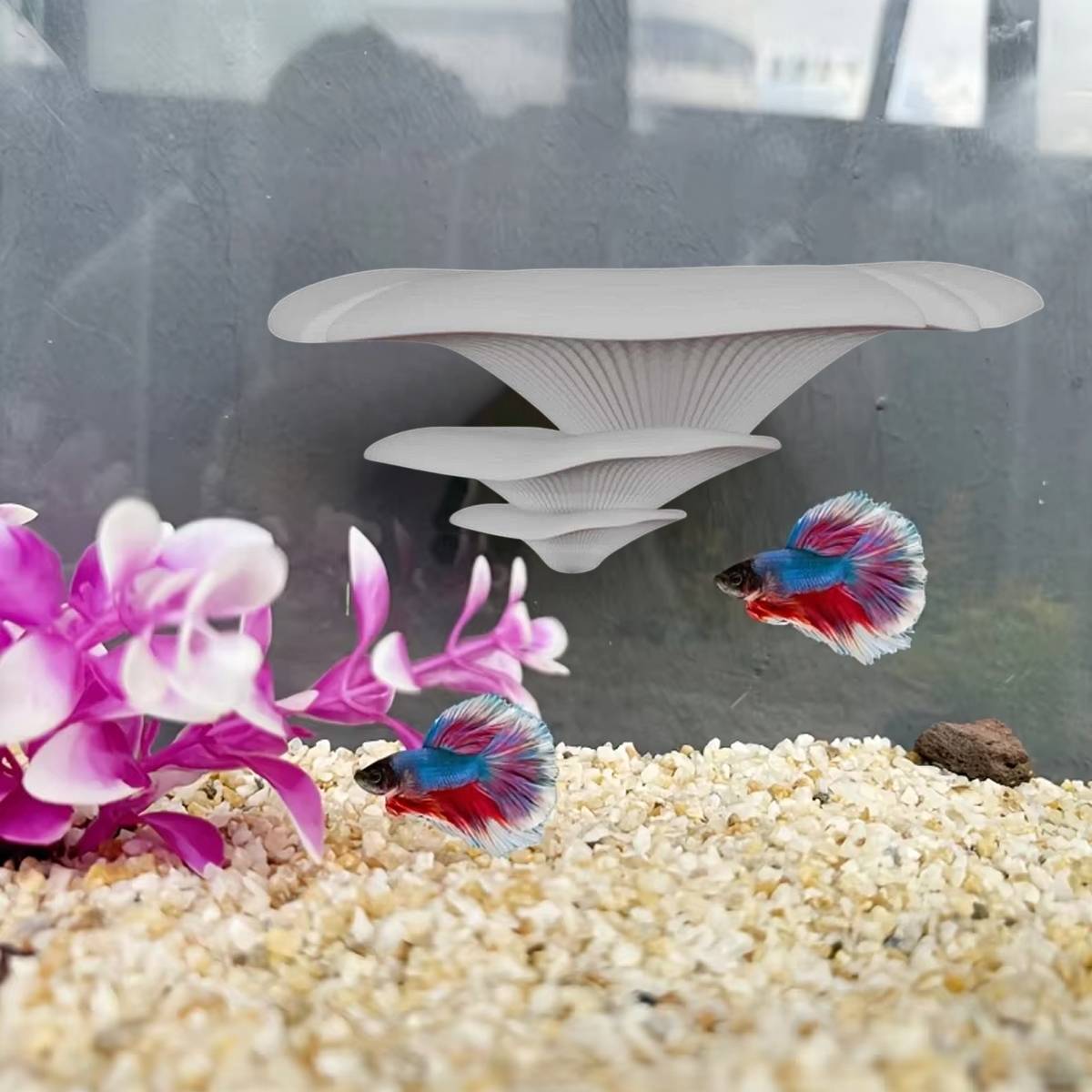Resin mushroom terrarium ledge with two suction cups – product view 13