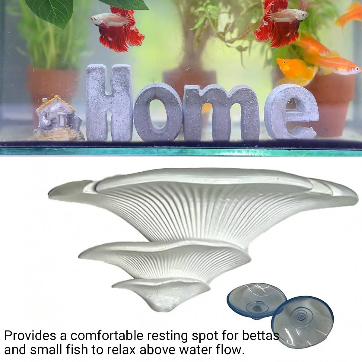 Resin mushroom terrarium ledge with two suction cups – product view 9