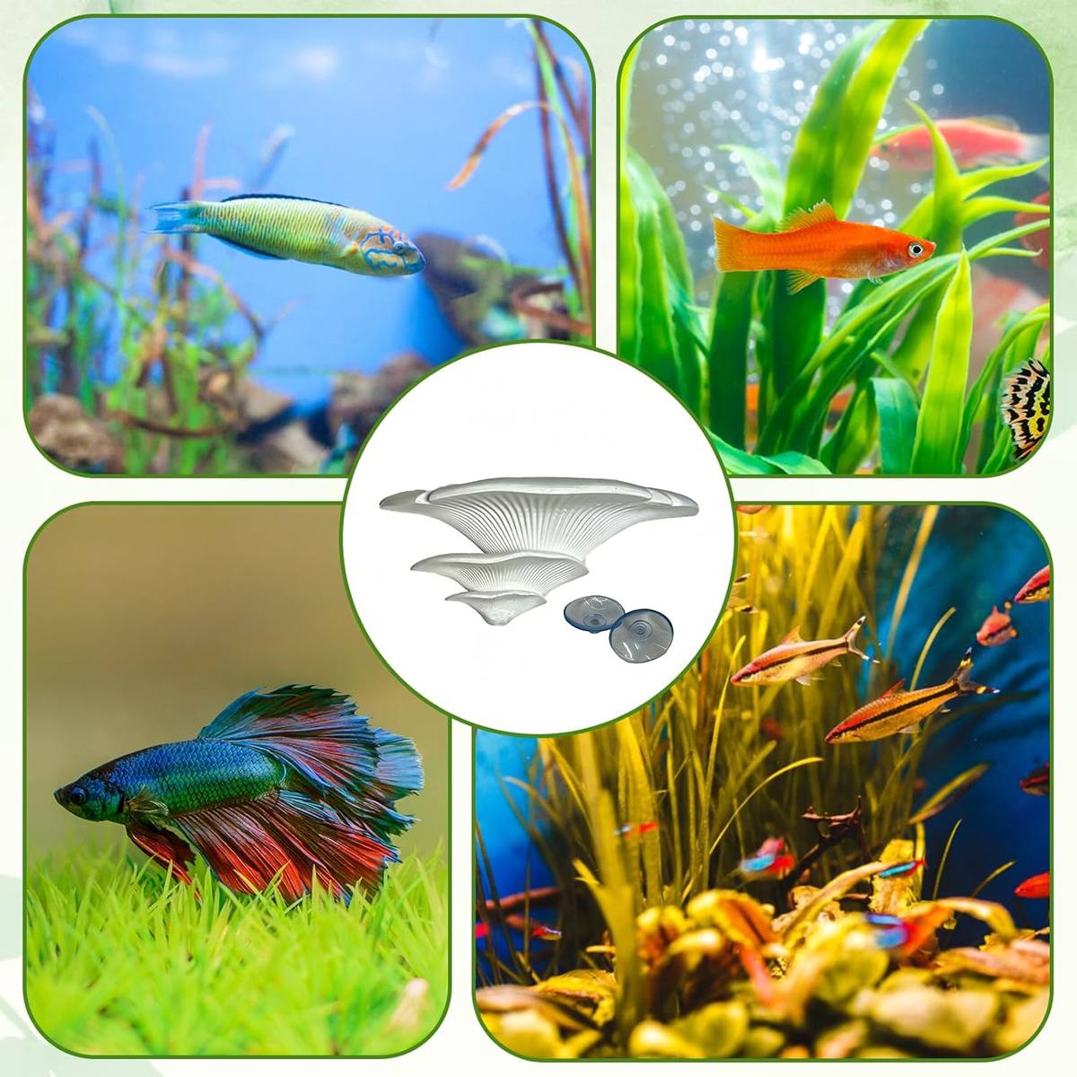 Resin mushroom terrarium ledge with two suction cups – product view 10