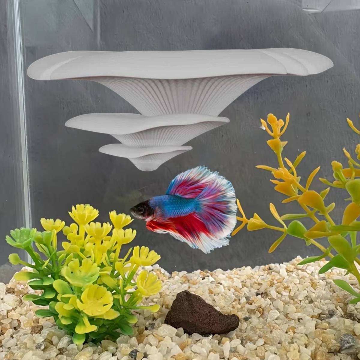 Resin mushroom terrarium ledge with two suction cups – product view 11