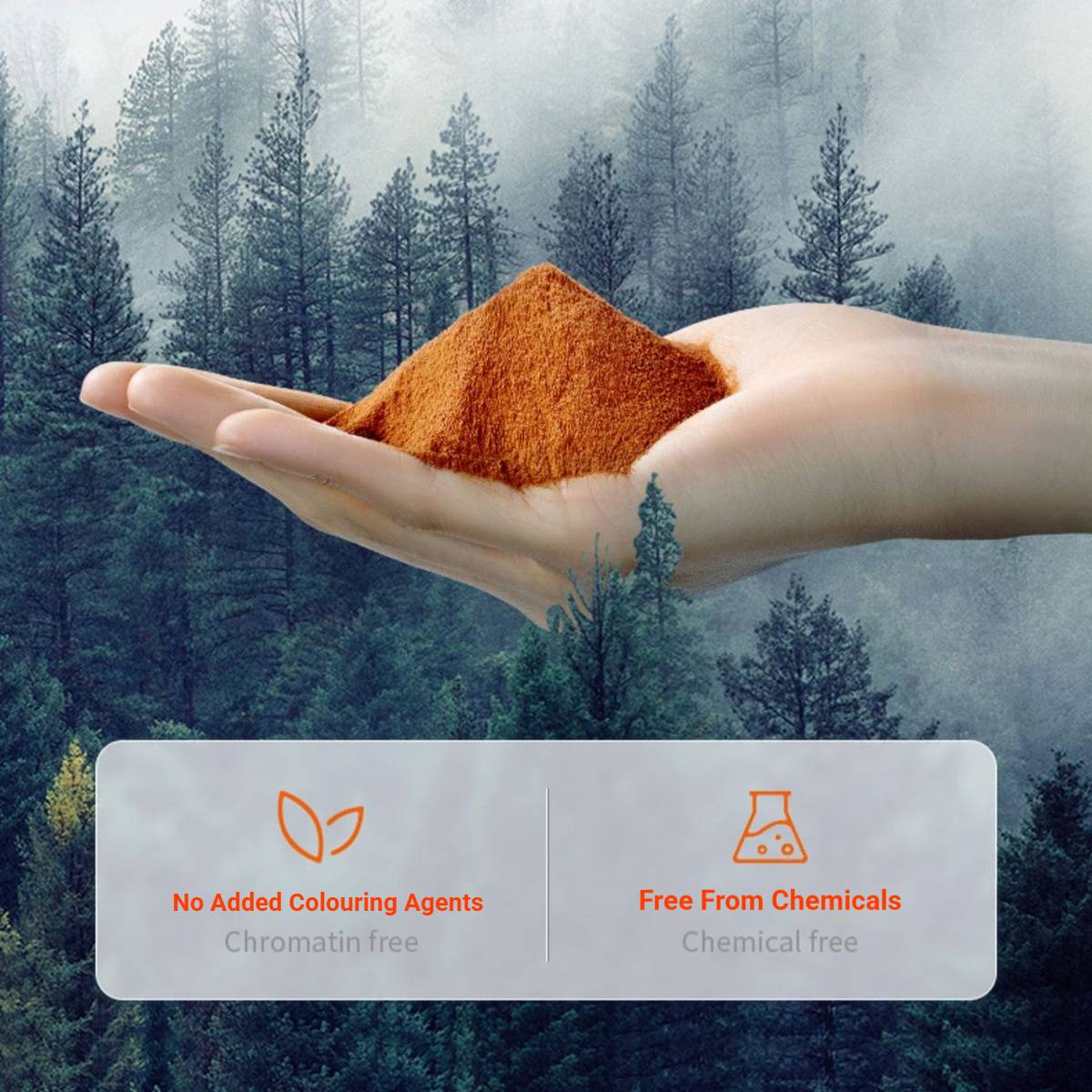 Natural Red Soil Reptile Bedding 2.5KG