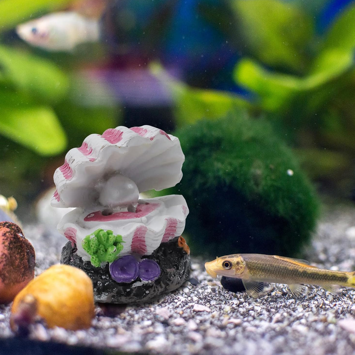 Aquarium Pearl Shell Decoration with Bubble Oxygenator