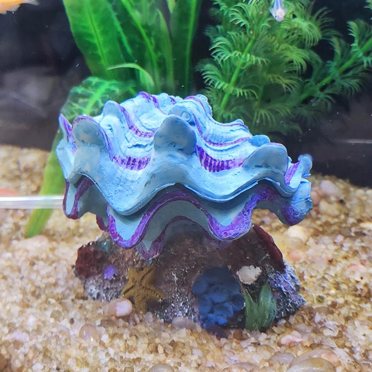 Animated Clam Shell Aquarium Ornament