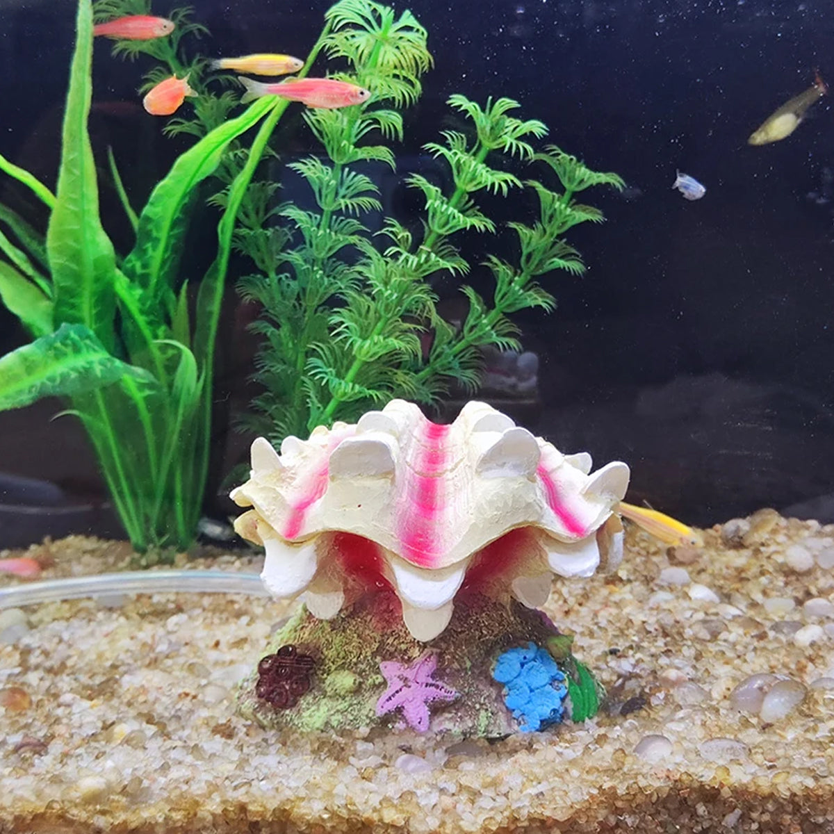 Animated Clam Shell Aquarium Ornament