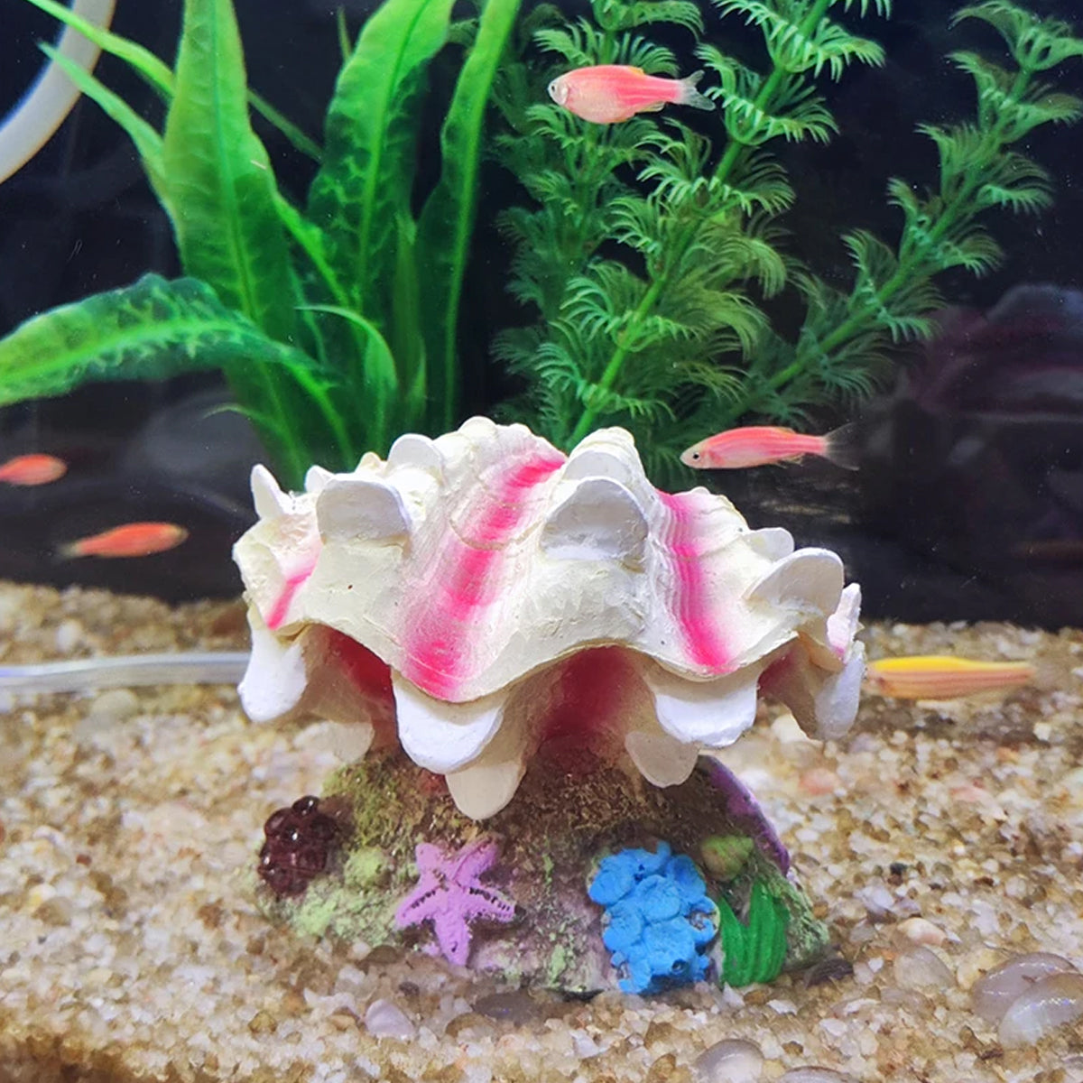 Animated Clam Shell Aquarium Ornament