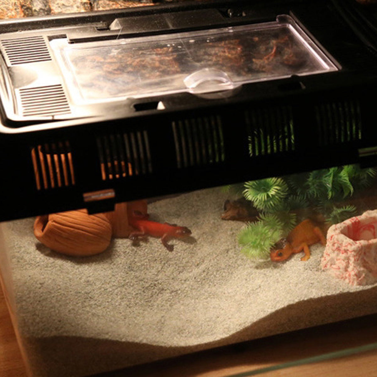 Pet Sand for Tortoises Snakes Lizards Spiders Multi-colour Reptile Habitat Decor