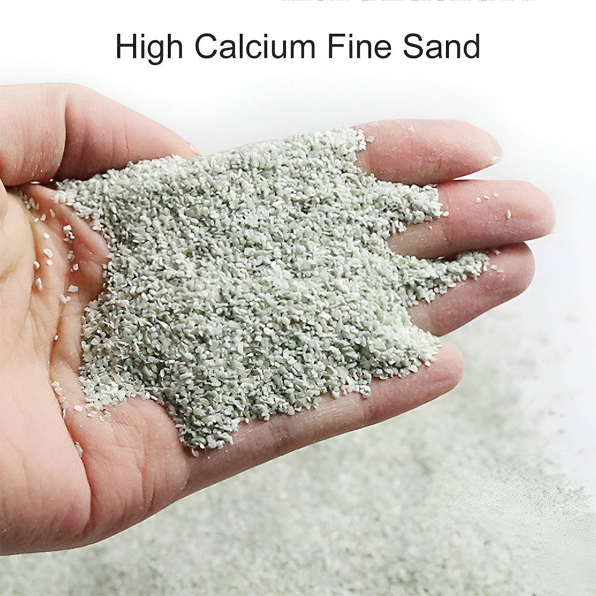 Pet Sand for Tortoises Snakes Lizards Spiders Multi-colour Reptile Habitat Decor