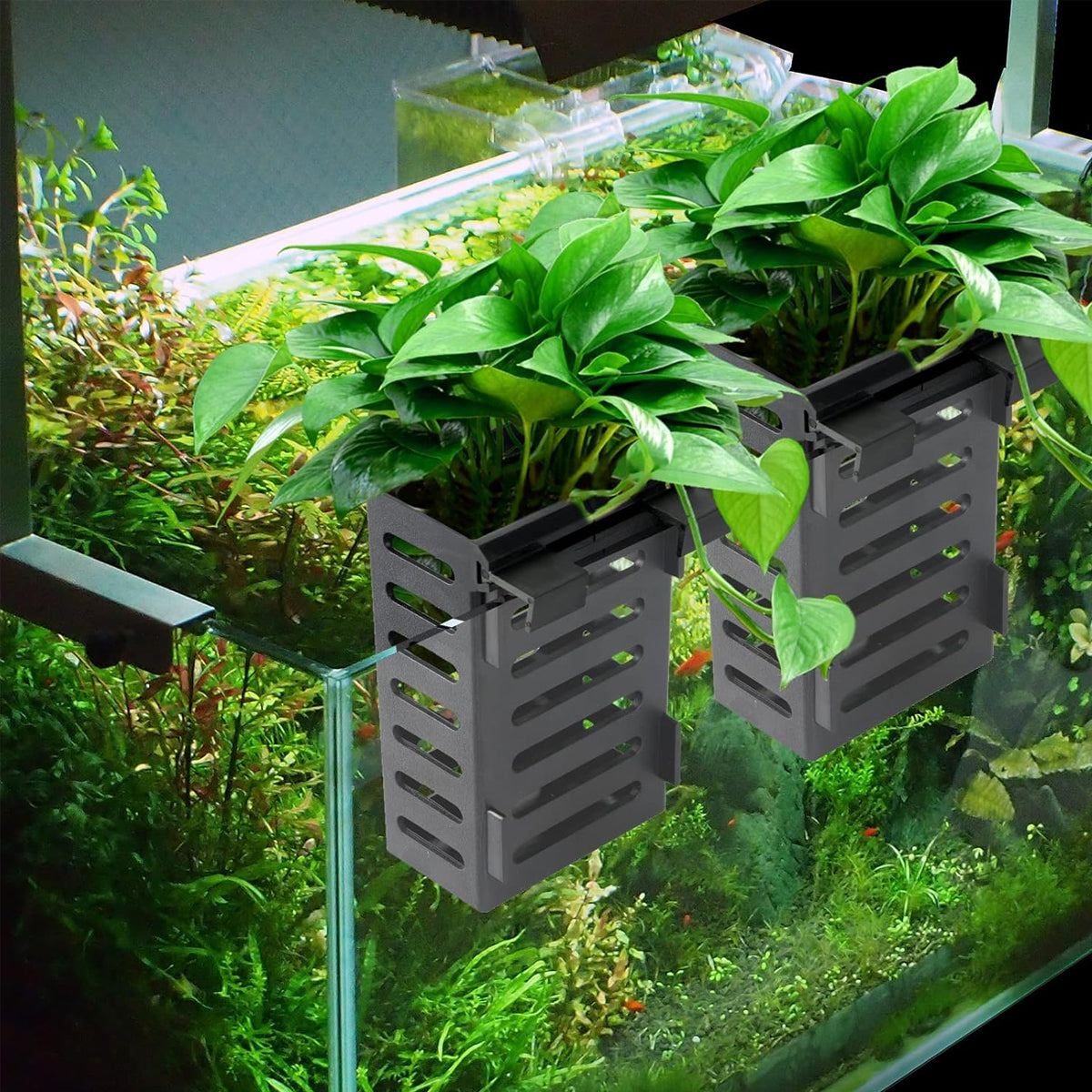 Aquarium Hydroponic Plant Holder Basket With Suction Cups And Hooks