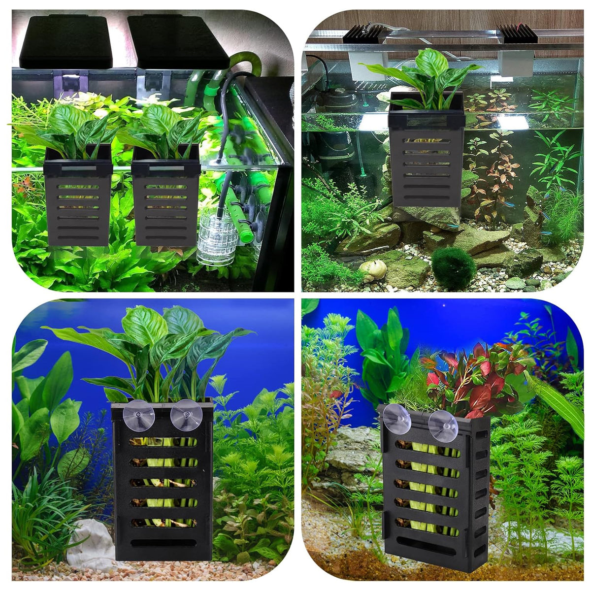 Aquarium Hydroponic Plant Holder Basket With Suction Cups And Hooks