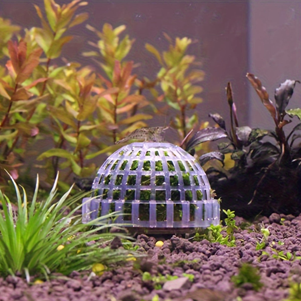 Aquarium Plastic Moss Ball Set 3PCS Plant Holder for Fish Tank