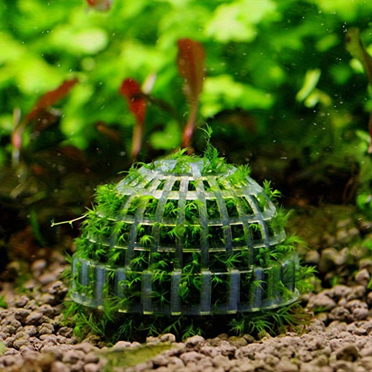Aquarium Plastic Moss Ball Set 3PCS Plant Holder for Fish Tank