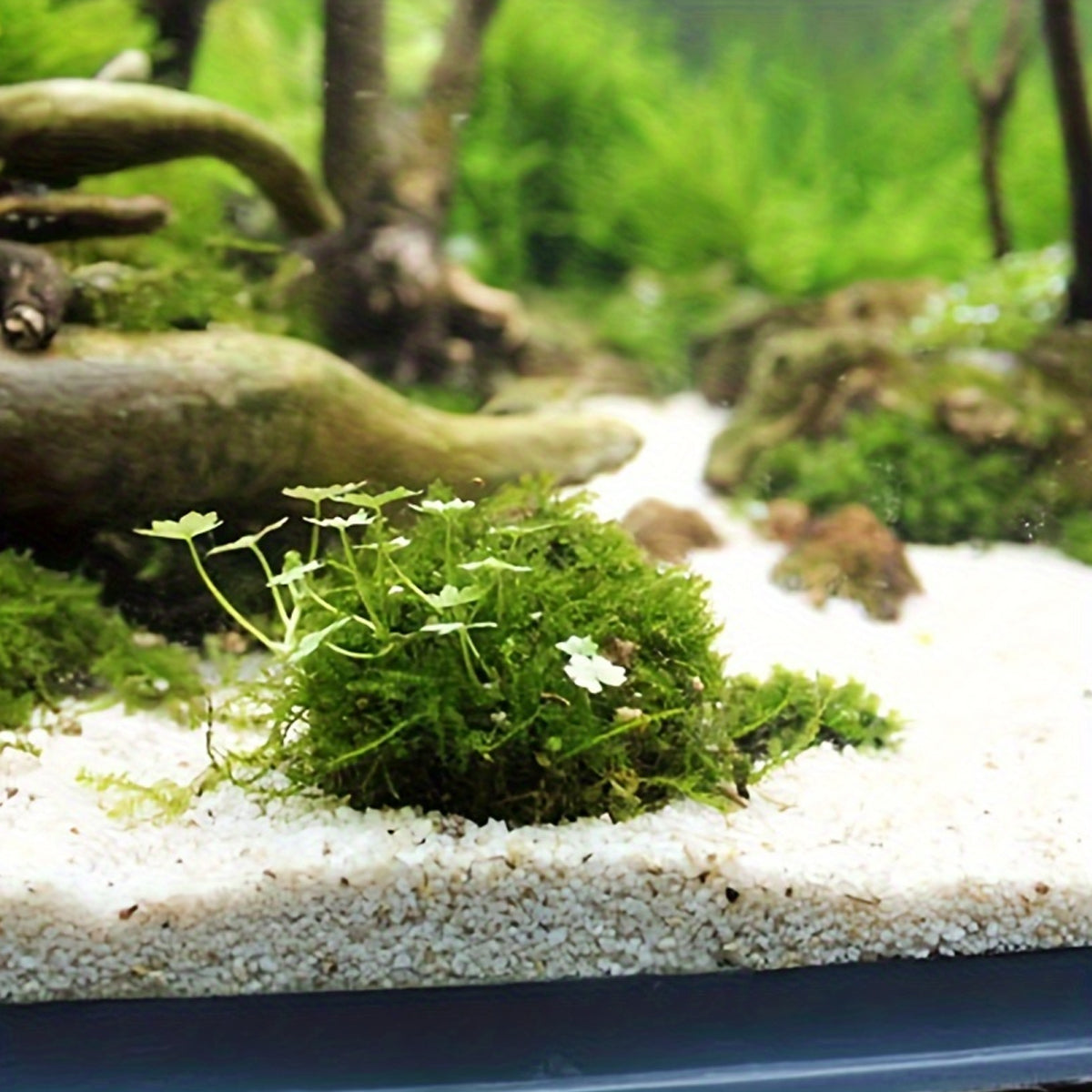 Aquarium Plastic Moss Ball Set 3PCS Plant Holder for Fish Tank